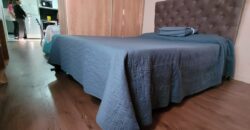 Venta Monoambiente Paraguay 1800. Barrio del Abasto. u$s 49.000