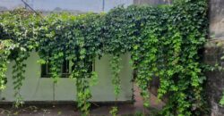 Vendo Casa a Reciclar Rouillón 220 Bis