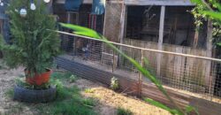 Vendo Casa Fisherton Jorge Newbery Al 8100