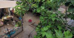 Vendo casa 2 Dormitorios. Barrio Belgrano. Tucumán 5635.