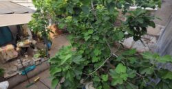 Vendo casa 2 Dormitorios. Barrio Belgrano. Tucumán 5635.