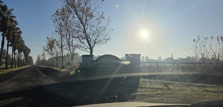 Lotes Campiñas de Piñeyro