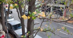 Vendo Imponente Dto. de 3 Dormitorios en piso exclusivo. Cafferata 922 Piso 1