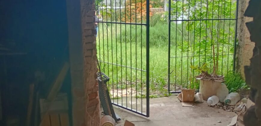 Vendo Imponente Lote 10,25 x 50 Mts con Locales comerciales Casilda Centro