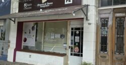 Vendo Imponente Lote 10,25 x 50 Mts con Locales comerciales Casilda Centro