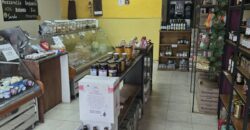 Vendo Imponente Lote 10,25 x 50 Mts con Locales comerciales Casilda Centro